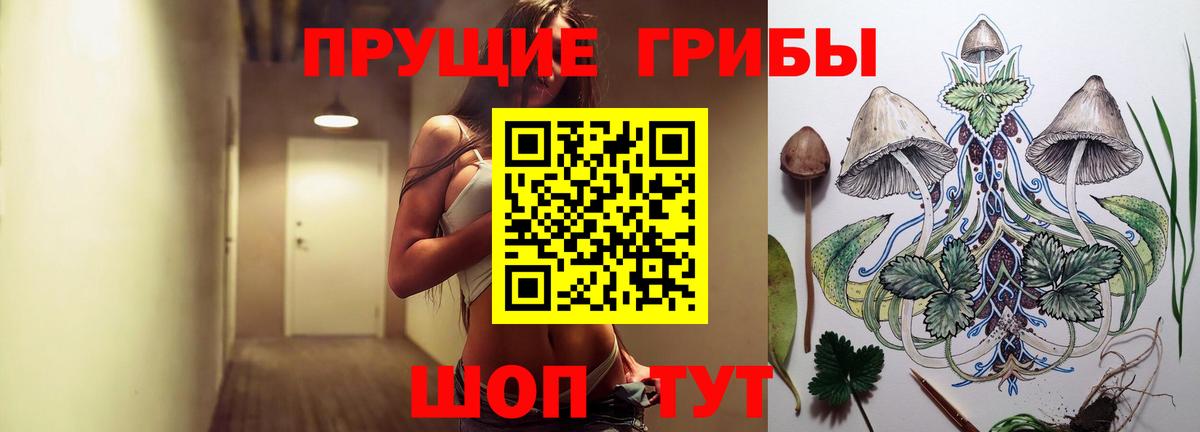 Галлюциногенные грибы MAGIC MUSHROOMS  Вход с VPN  Ульяновск 