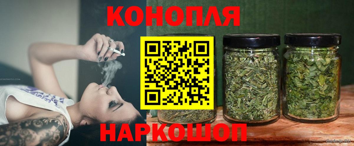 Бошки Шишки план Ульяновск